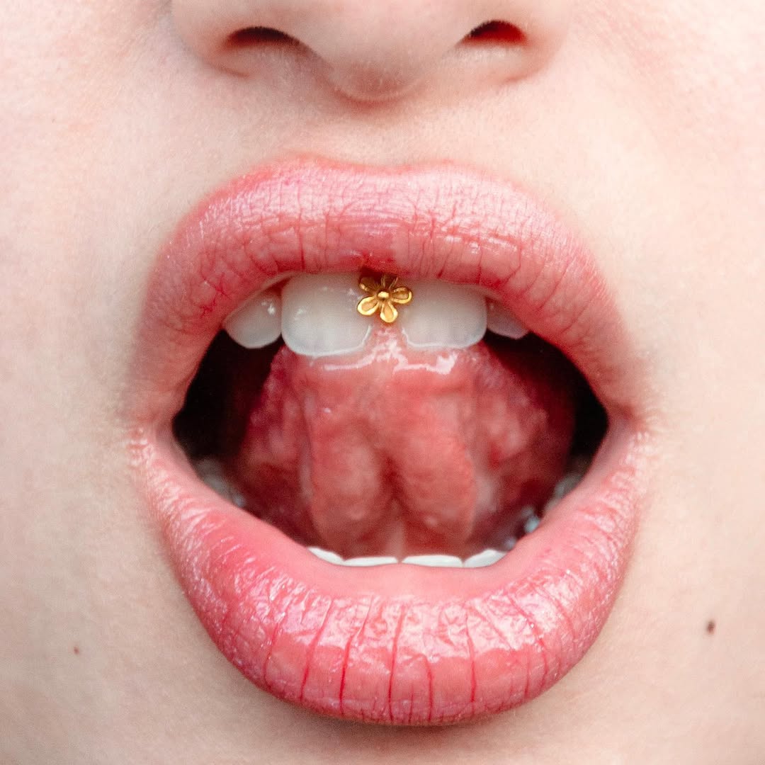 [ARCHIVE] Photography by @picturaultra